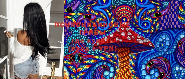PSILOCYBIN Сатка