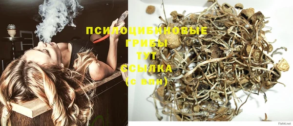 альфа пвп Саяногорск
