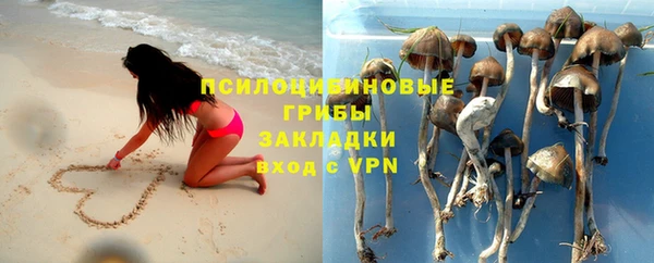 хмурый Балабаново