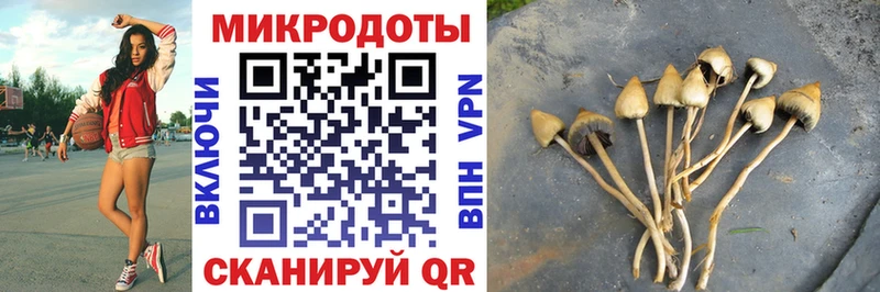 Галлюциногенные грибы мухоморы  мега зеркало  Озёры  что такое наркотик 